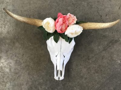 Skulls