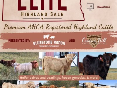 2026 Fall Auction Lots